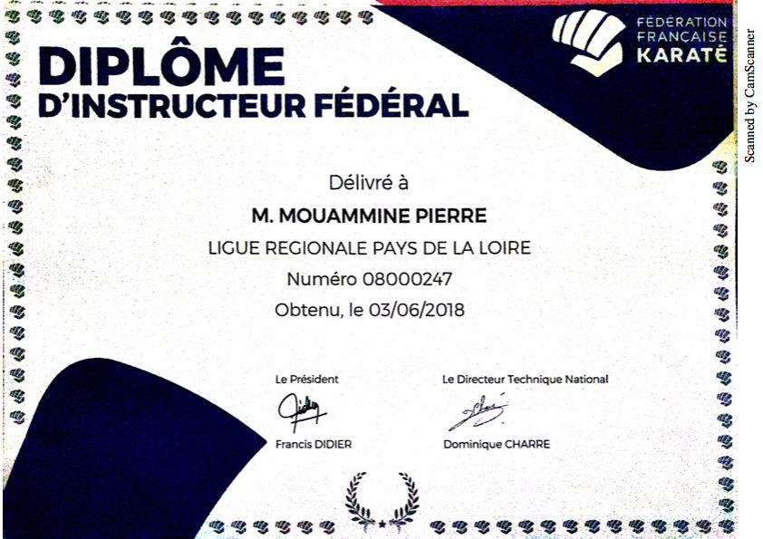 DIF Pierre Yves MOUAMMIME, professeur école adolescent, Ecole Yonnaise de Karaté