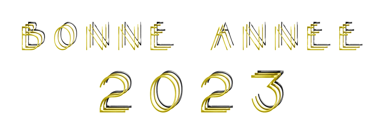 Bonne, Année Bonne, Année